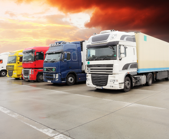 Best Transport Software To Streamline All Transport Operations