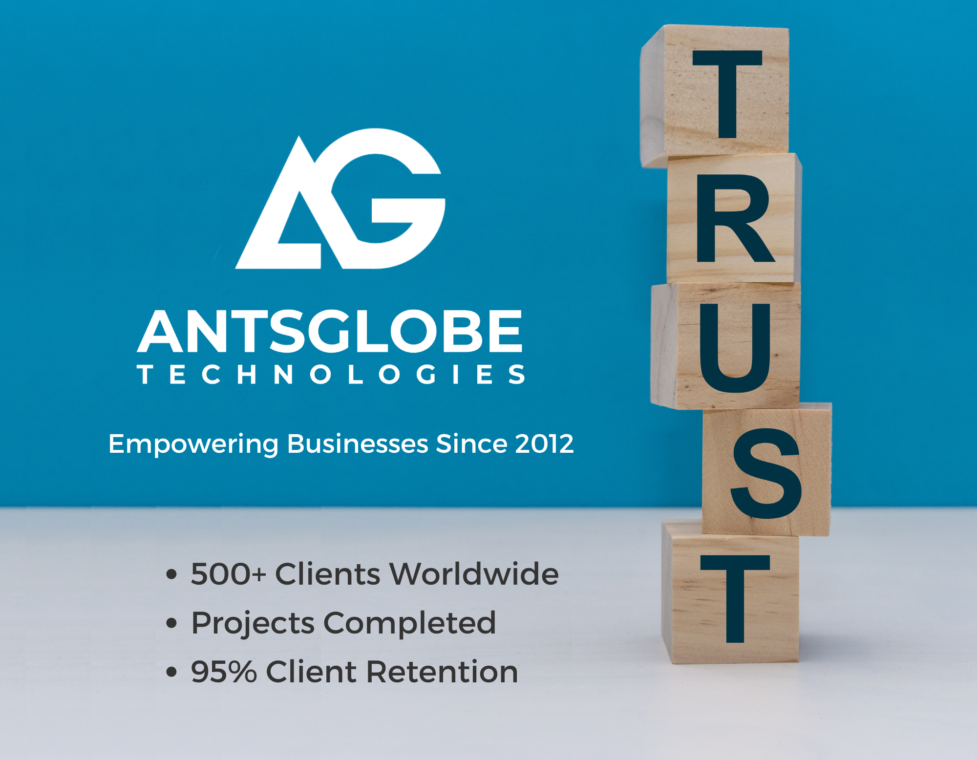 Antsglobe Technologies Website Design and Development Services in India