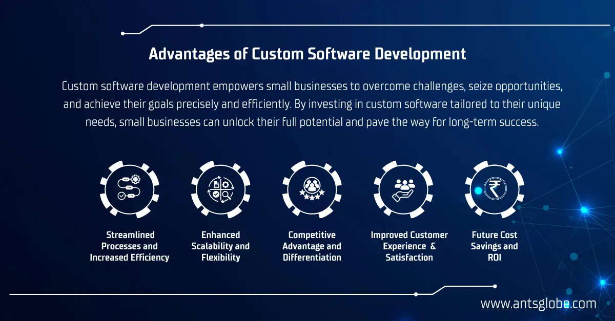 Advantages of custom software development