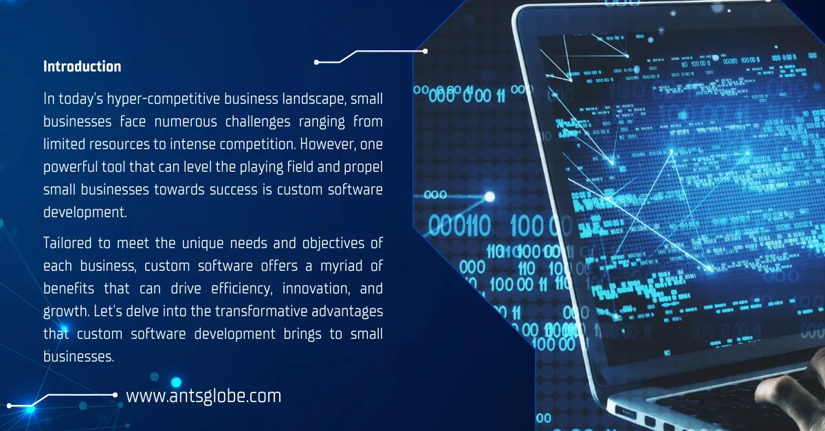 Introduction custom software development