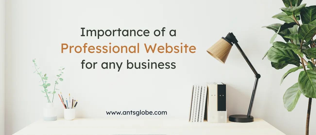 Professional Web Design Services