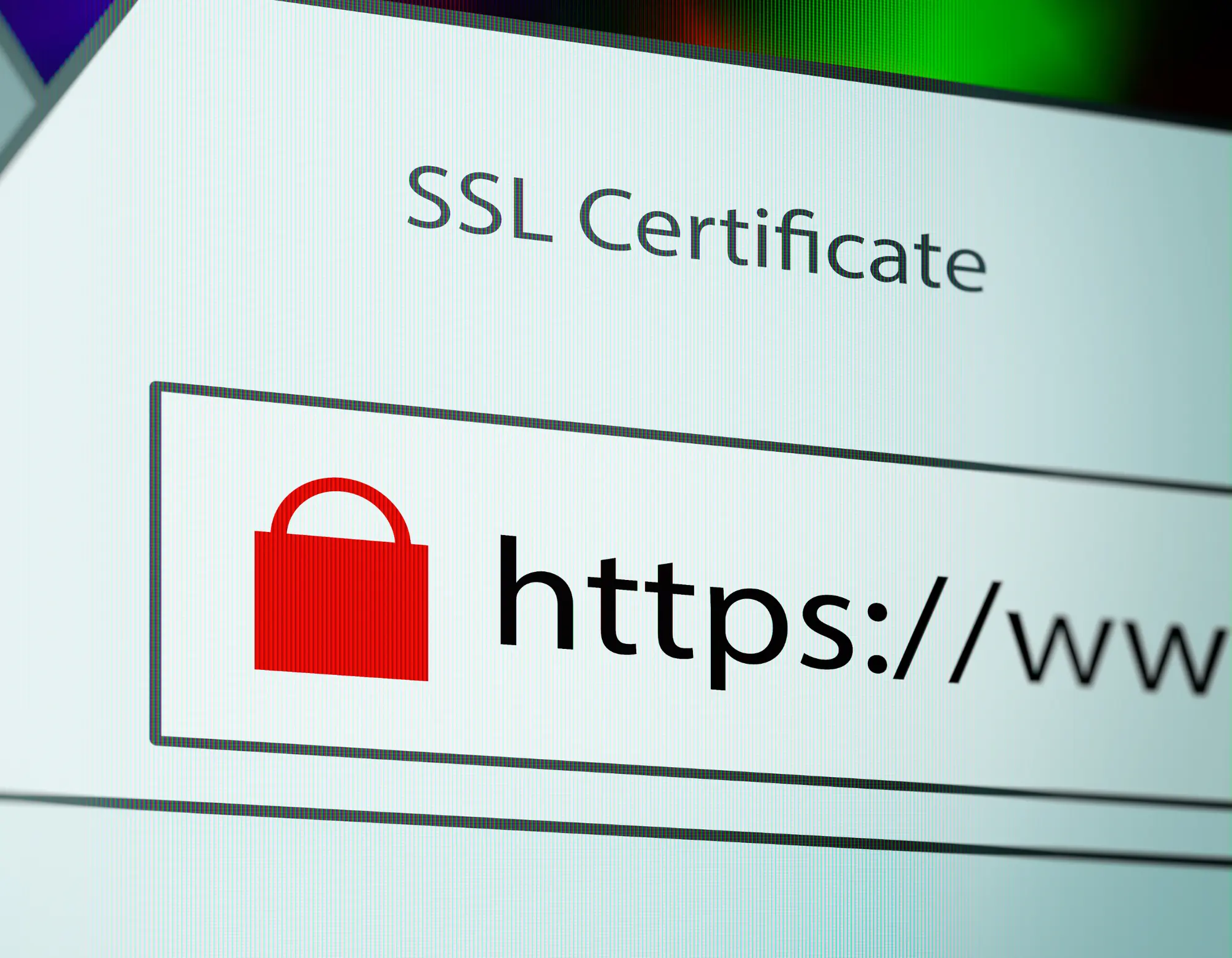 Website Security Features