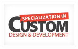 Specialization in Custom Design and Development